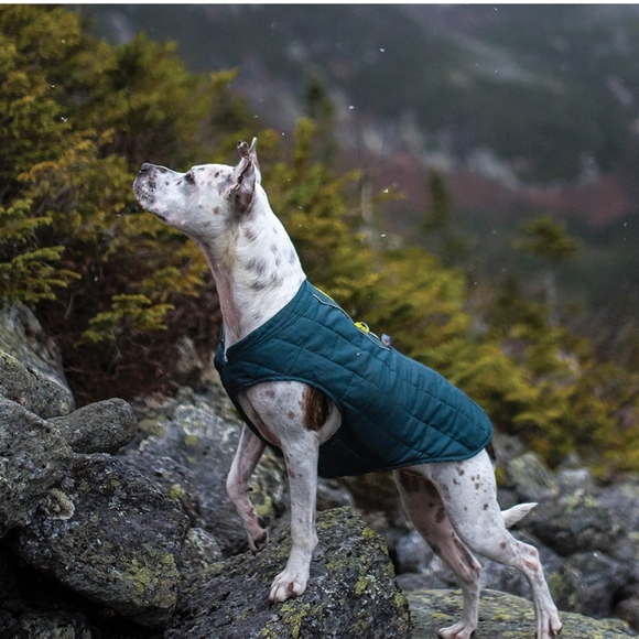 Kurgo Other - 🐕Kurgo Loft Jacket Dog Coat - Reversible Dog Winter Coat🐕 